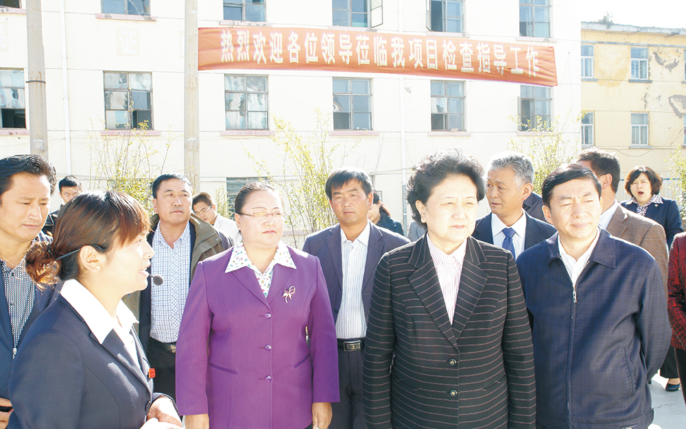 时任中央政治局委员，，，，，，，国务院副总理、党组成员刘延东视察湖北88858cc永利集团青海项目部