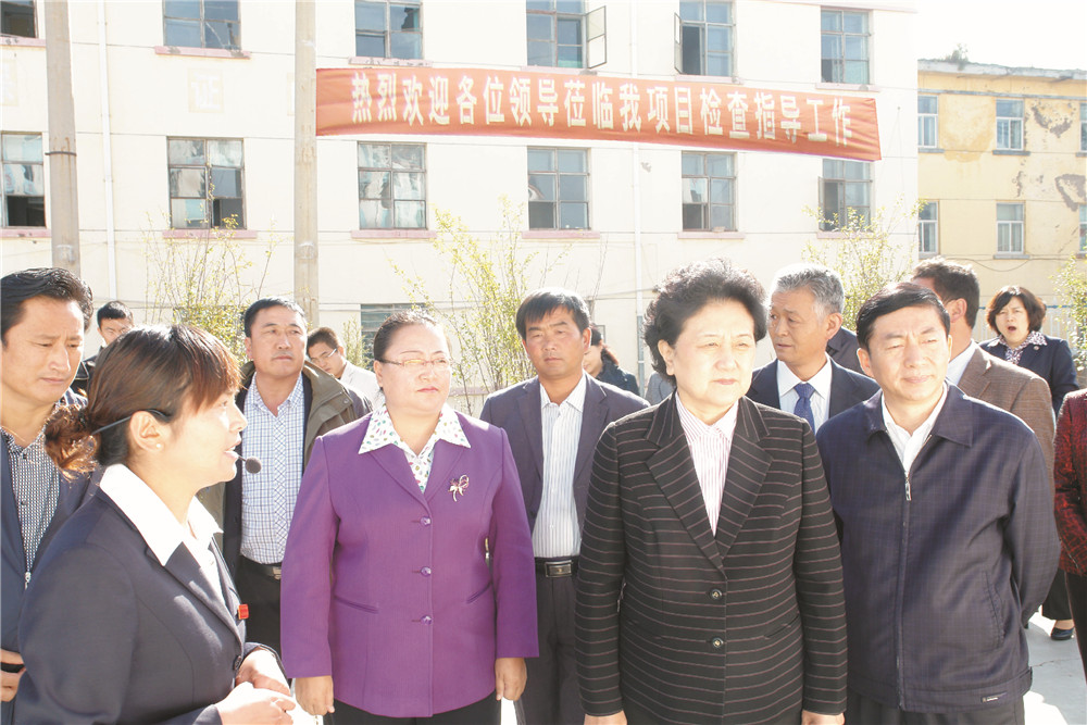 4中央政治局委员，，，，，国务院副总理、党组成员刘延东视察湖北88858cc永利集团青海项目部 